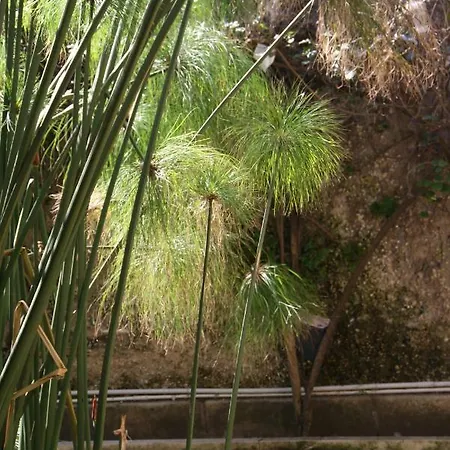 Casa - Sun Of Ortigia *